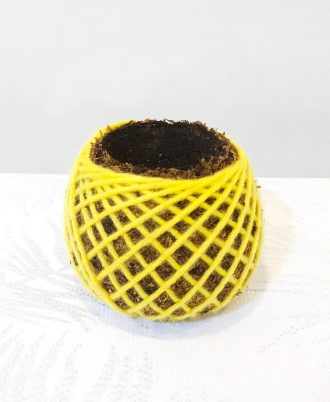 Yellow Kokedama Pot
