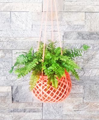 Boston Fern Kokedama Hanging