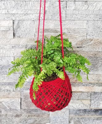 Boston Fern Kokedama