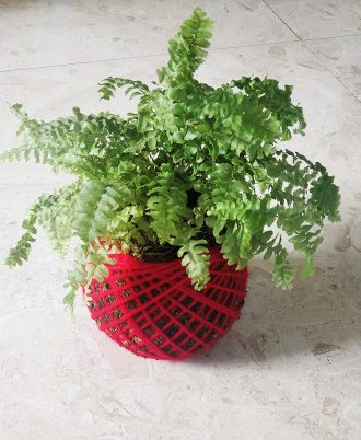 Boston Fern Kokedama Red Color